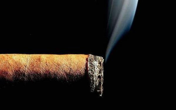 ile nikotyny zawiera papieros?