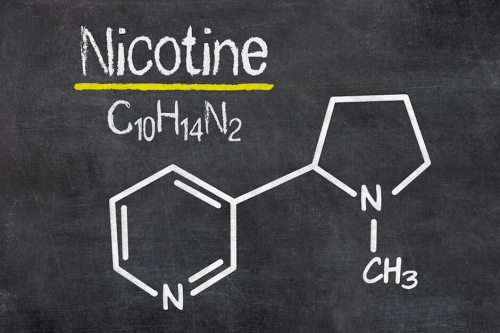 kto syntetyzuje chemicznie nikotynę?